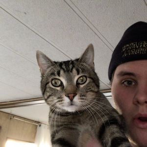 Meet your Posher, Brustun